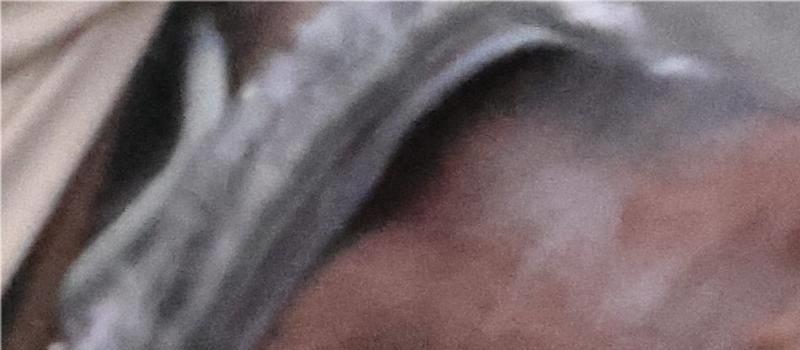 新版《射雕》老顽童剧照曝光!造型一言难尽,与师兄王重阳差距明显(图14) 新版《射雕》老顽童剧照曝光!造型一言难尽,与师兄王重阳差距明显(图14)