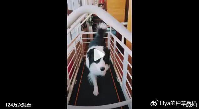 现任女友喊话前妻,这是今年最尴尬的官宣?(图8) 现任女友喊话前妻,这是今年最尴尬的官宣?(图8)