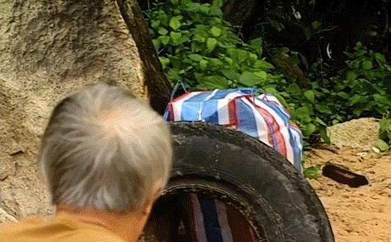 这对CP一复合,连内娱都磕疯了(图14) 这对CP一复合,连内娱都磕疯了(图14)