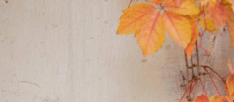 《尘缘》两集弃：没被baby的演技劝退的我，反被马天宇油腻到了(图6)