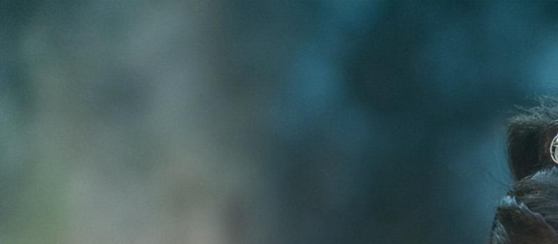 《尘缘》两集弃：没被baby的演技劝退的我，反被马天宇油腻到了(图15)