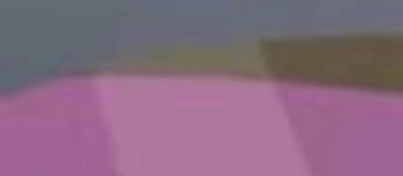 《百变马丁:怪兽大作战》曝MV 旋律响起秒回童年(图2) 《百变马丁:怪兽大作战》曝MV 旋律响起秒回童年(图2)