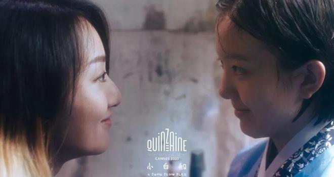 戛纳女导演华语新片，为成长唱一首悲伤的歌(图4)