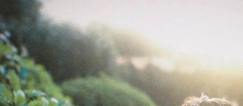 《玉骨遥》空降播出!任敏颜值被嘲撞脸猪猪侠,肖战脸在江山在(图13) 《玉骨遥》空降播出!任敏颜值被嘲撞脸猪猪侠,肖战脸在江山在(图13)