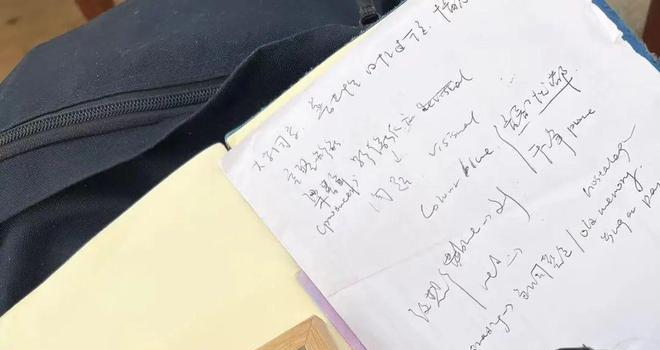 戛纳女导演华语新片，为成长唱一首悲伤的歌(图12)