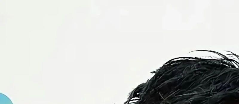 短短五集，揭露当代年轻人的失业现状，“家里蹲”真就一文不值？(图1)