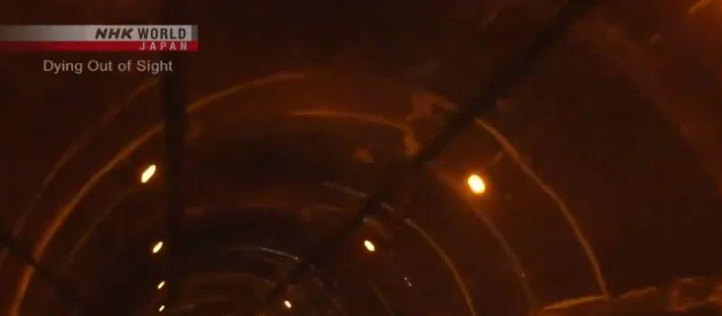 短短五集，揭露当代年轻人的失业现状，“家里蹲”真就一文不值？(图21)