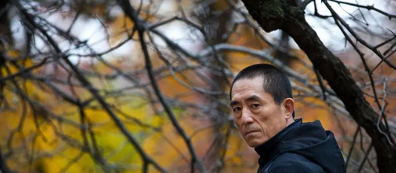 张艺谋首部电视剧筹拍，赵丽颖搭档张嘉益，剧王终于要来了(图2)