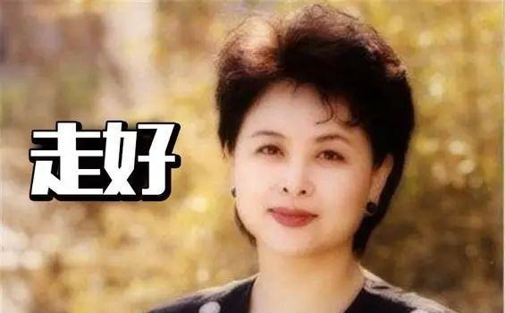 央视肖晓琳退休5个月，在美国儿子家去世，临终26字遗言发人深省(图7)