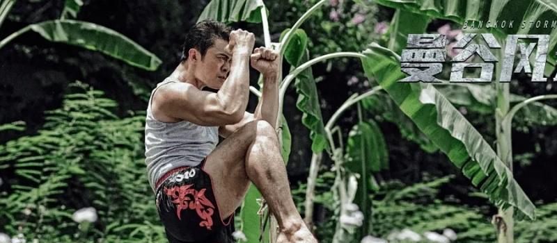 《曼谷风云》上映，武魂觉醒热血复仇，樊少皇熊欣欣巅峰对决！(图4)
