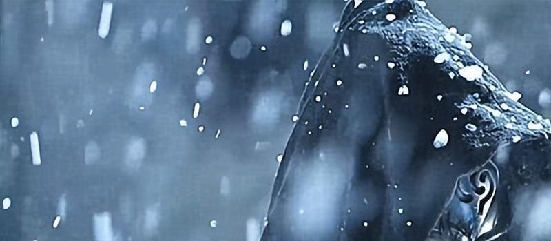 《玉骨遥》琅玕&amp;白薇：爱恨两难平。(图1)