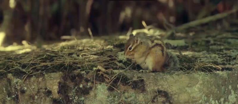 韩剧尺度又疯了？！(图32)