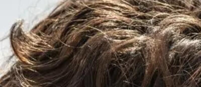 回应演员罢工!电影《沙丘2》取消圣迭戈漫展活动(图1) 回应演员罢工!电影《沙丘2》取消圣迭戈漫展活动(图1)