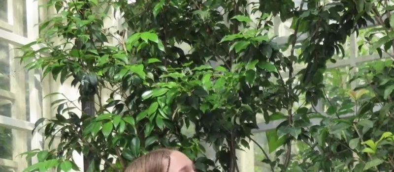 内卷25年，贝克汉姆夫妇放弃鸡娃：靠儿子养老就是等死！(图13)