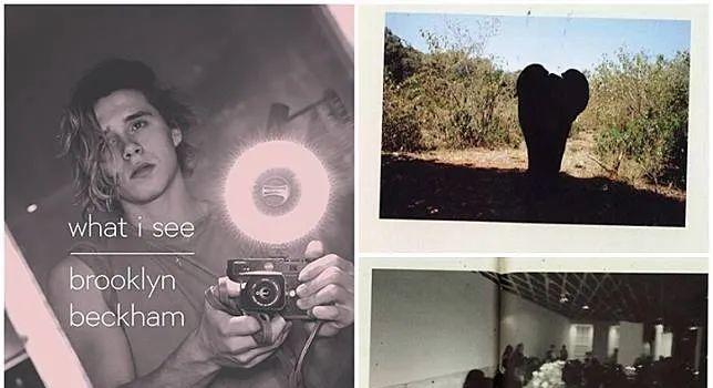 内卷25年，贝克汉姆夫妇放弃鸡娃：靠儿子养老就是等死！(图22)