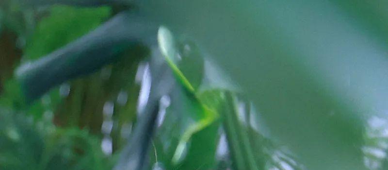 赵露思再出王炸剧！豆瓣好评超高分，观众苦等2年才上线(图14)