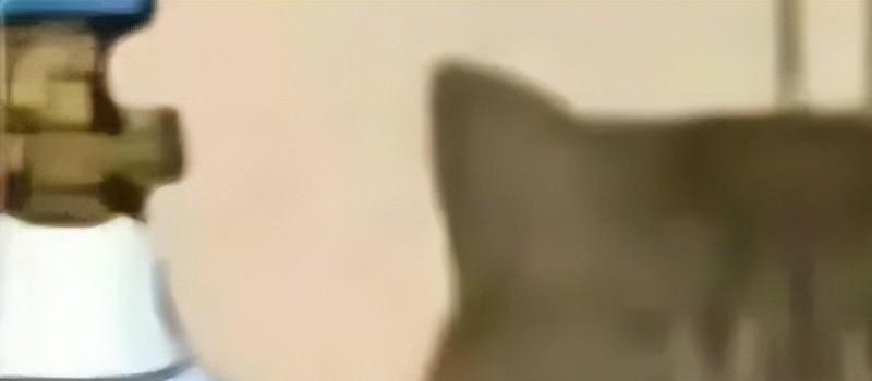 在浪姐4被霸凌退赛？44岁的她是彻底翻红无望吗…(图17)