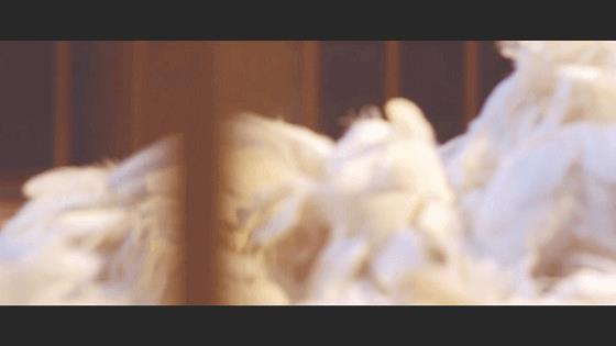 张柏芝《无极》的,用倾国倾城来形容也不为过(图5) 张柏芝《无极》的,用倾国倾城来形容也不为过(图5)