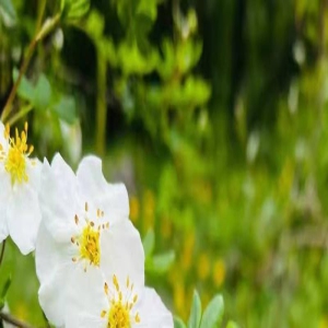 两招,告别焦虑!