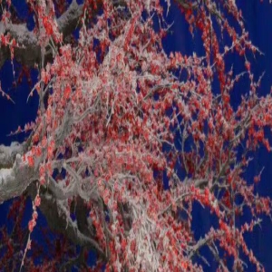 关之琳居然素颜现身演唱会,皮肤蜡黄但真实自然,让人越看越舒服