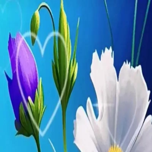 你静静来,我深深爱,爱你入心,想你入骨