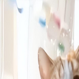 猫咪有这些表现,说明它是“恋爱脑”,猫咪很爱主人!