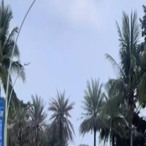 郭德纲老婆出海肚腩大似孕肚,穿紧身衣过度肥胖,脸涂鸦故意扮丑