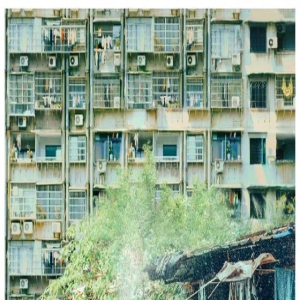 电影《我爱你！》：一份纯粹而热烈的爱情故事