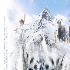 电影《雪豹和她的朋友们》8城点映,口碑先声夺人