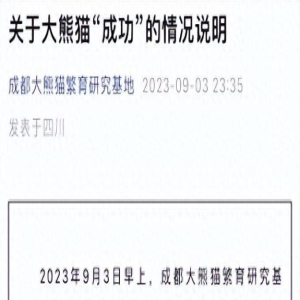 大熊猫“成功”去世 网友伤心:“花花”没有妈妈了