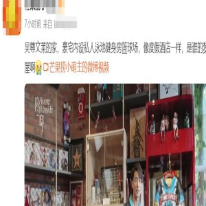 吴尊文莱豪宅曝光!自带泳池陶瓷滑梯超震撼,每个角落都是奢华