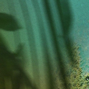 61岁梁朝伟再惹争议,拿奖后和富婆们庆祝,举止太亲昵!