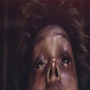 我们嫌弃的烂片，竟然被好莱坞拍成了神作