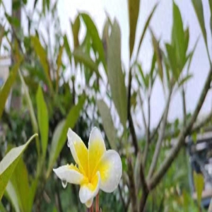 劝你:不要做一个“嘴巴毒”的父母,这很重要!