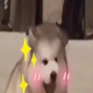 冷知识|海王的狗会活得更累,狗狗的爱是喵星人的5倍...