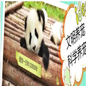 在猫王经典《猎犬》里被当作渣男骂的,究竟是怎样的狗?