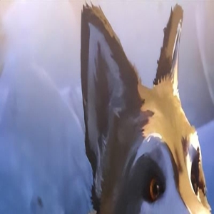 情节紧凑,人物鲜明,是一部不可多得的佳作大片,充满冒险与感性