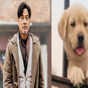 观影:温暖彼此生命的《小Q》,我是你的“眼睛”,你是我的全世界