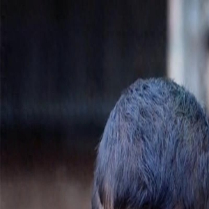 拍网红“小马云”果然赚钱!表哥喜提50万大奔,只给其家人8000元