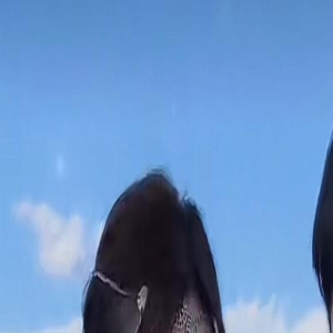 网红嘴哥被曝与乔妹分手!正面回应提问,乔妹泪眼瞬间湿润