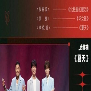 《披哥3》人气排名,林志颖和10强无缘,断层第一名,二公被淘汰