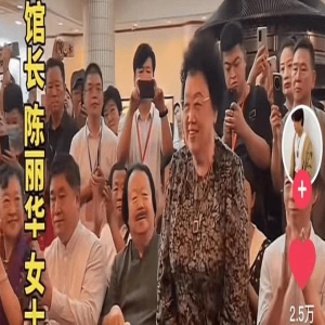 82岁陈丽华身体近况引担忧,行动靠人搀扶,主持人王为念行为辣眼