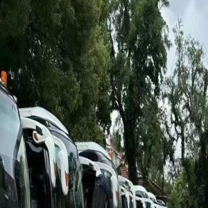 杨颖送儿子上一年级,小海绵就读国际学校学费7万,英文名引热议