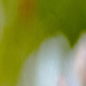 夫妻感情是好是坏,其实也就“十分钟”的事