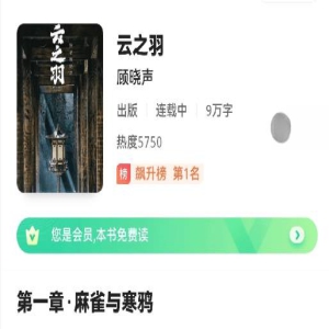 《云之羽》有原著小说吗?《云之羽》人物关系是怎样的?