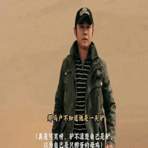 杀人诛心?那英评论区165万条评论,却没有一个人是向着她说话的