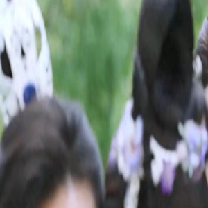 央视批评无脑甜宠剧,赵露思,杨洋,张婧仪等人中招,网友:嘴替