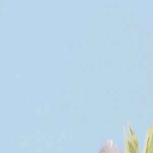 不显老的3个习惯,一定要长期坚持下去