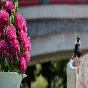 《灼灼风流》:沈惊鸿甘为棋子,柔嘉夺位失败自杀