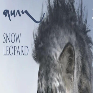 这届威尼斯有看头!梁朝伟获金狮奖,舒淇担任评委造型吸睛